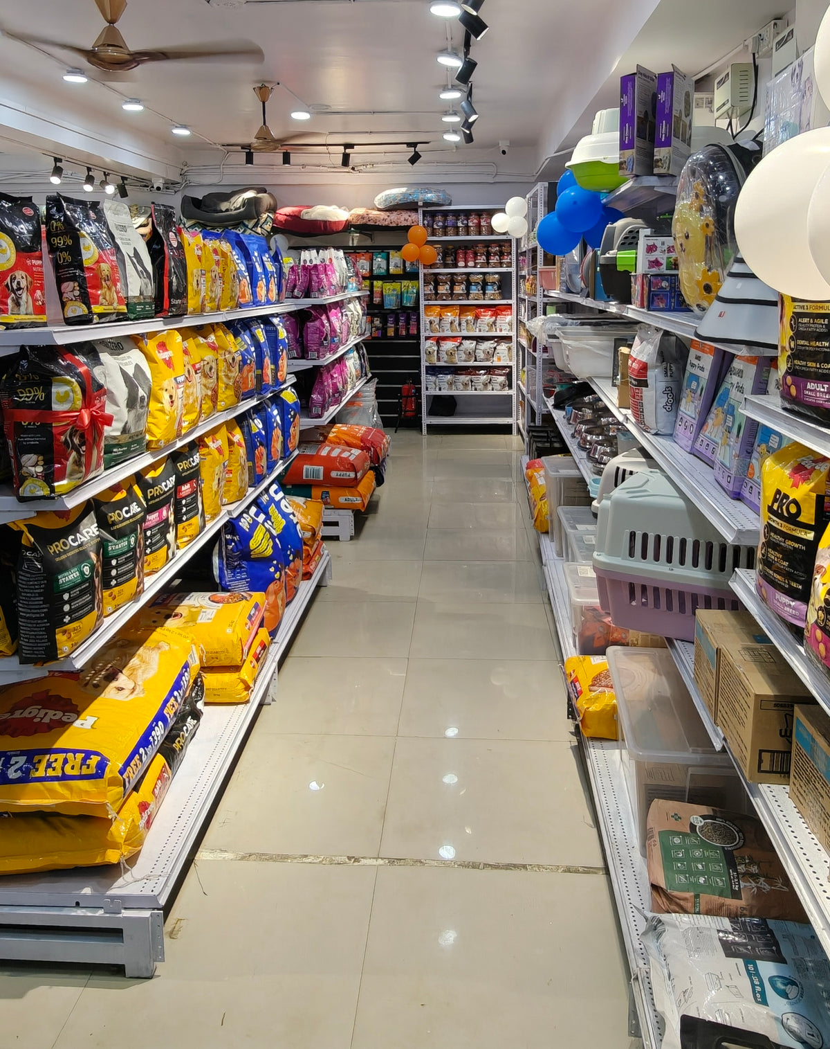 Dog food aisle at Cuddle Paws Co, Gachibowli, stocked with Pedigree, Drools and Procare kibble