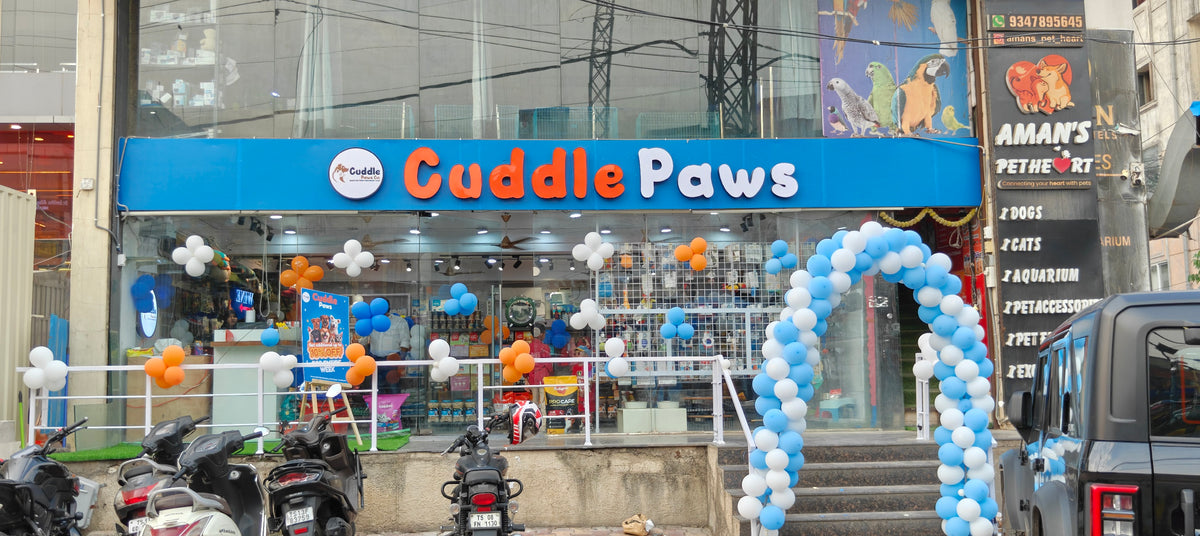 Cuddle Paws Co storefront on the main road beside West Side Shopping, Indira Nagar, Gachibowli