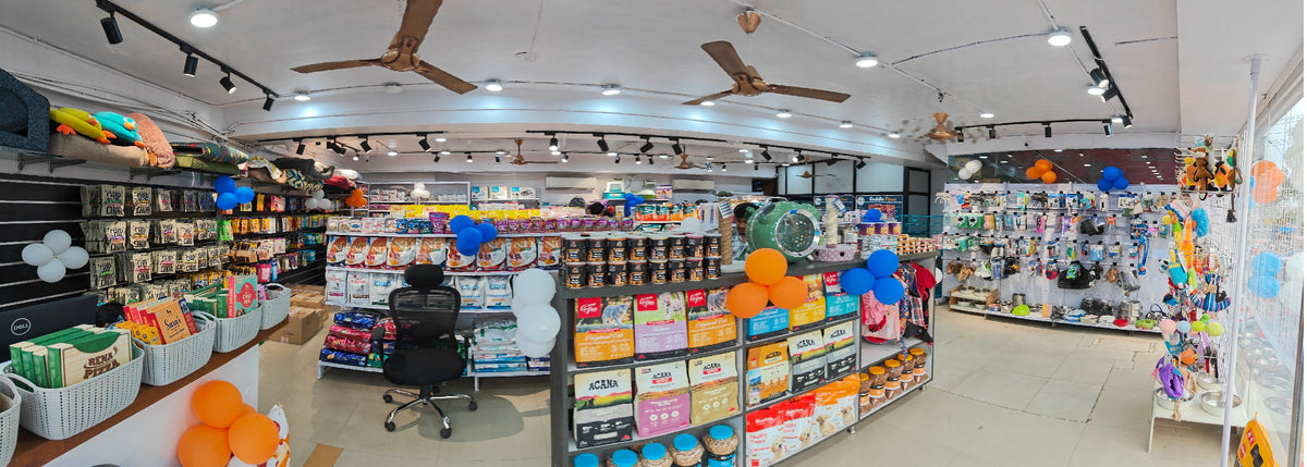 Inside Cuddle Paws Co Gachibowli, aisles of dog and cat food from Royal Canin, Acana, Orijen and Farmina