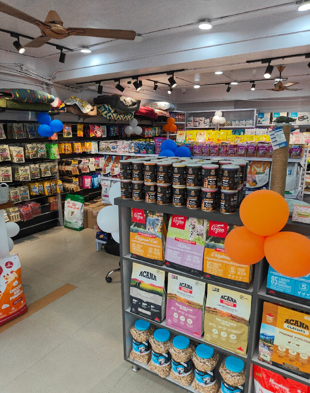 Dog treats and chews wall at Cuddle Paws Co Gachibowli, including Chip Chops, Acana and Orijen