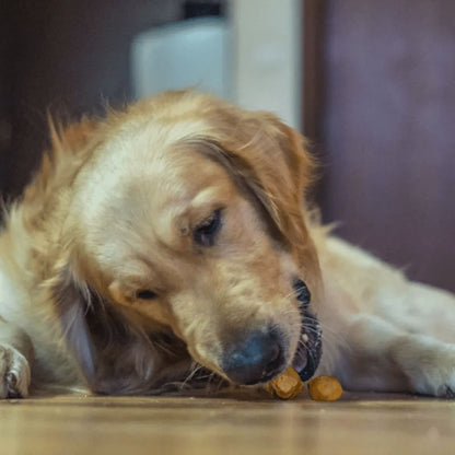 Dogsee Chew 100% Natural Yak Cheese Mini Pops Dog Treat — detail shot