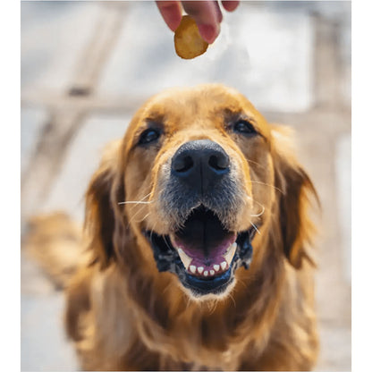 Dogsee Chew 100% Natural Yak Cheese Turmeric Mini Pops Dog Treats — back view