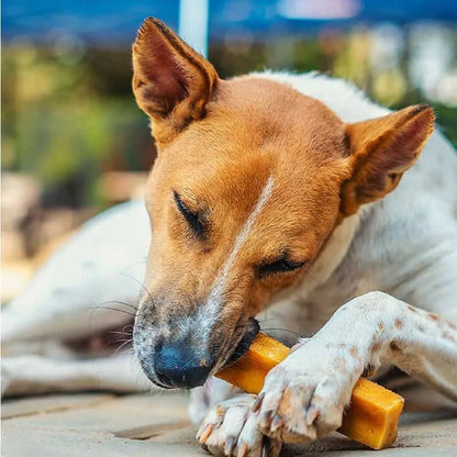 Dogsee Chew 100 Natural Yak Milk Bars Medium Small Breed Dog Treat - Image 3