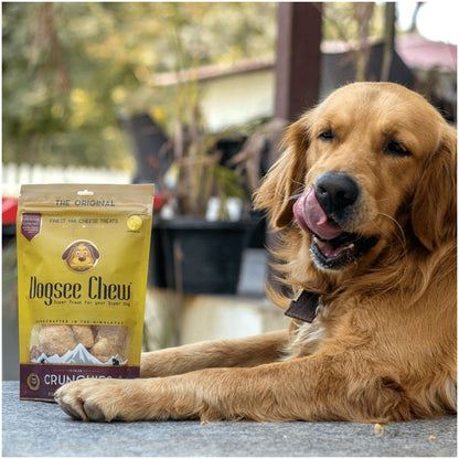 Dogsee Chew Cheese Crunchies Dog Treats — detail shot