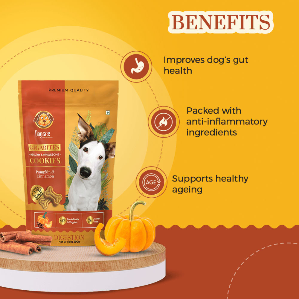 Dogsee Chew Gigabites Pumpkin and Cinnamon Dog Cookie Treats — back view