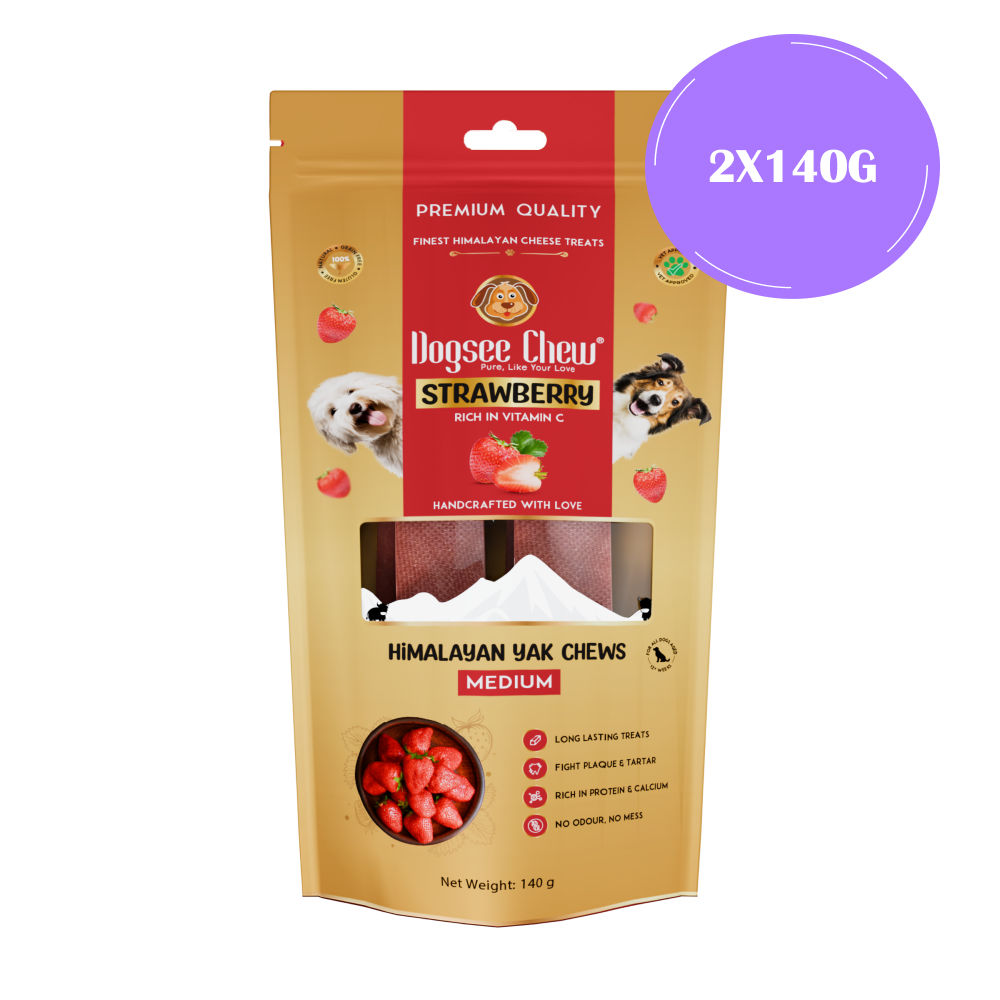 Dogsee Chew Strawberry Flavour Medium Bars Dog Treats — back view