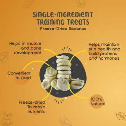 Dogsee Crunch Freeze Dried Banana Dog Treats — side view