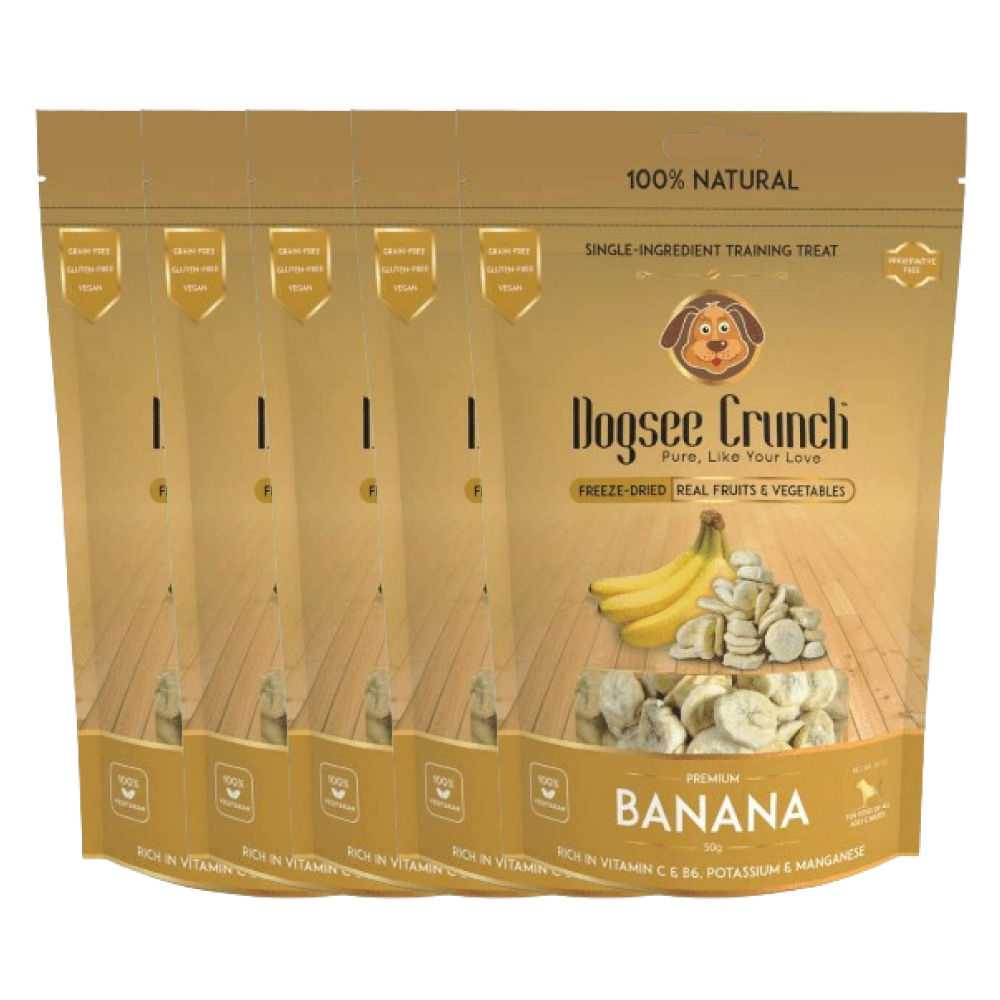 Dogsee Crunch Freeze Dried Banana Dog Treats — detail shot