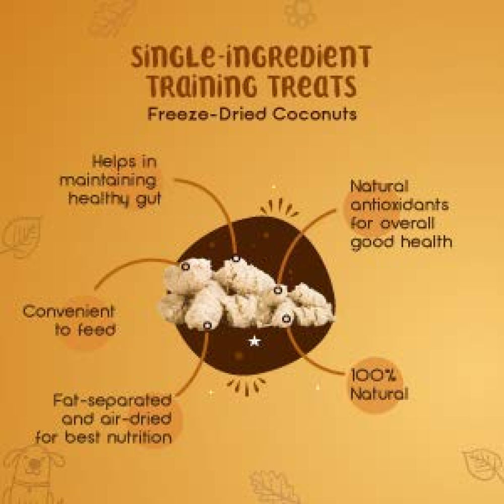 Dogsee Crunch Freeze Dried Coconut Dog Treats — back view