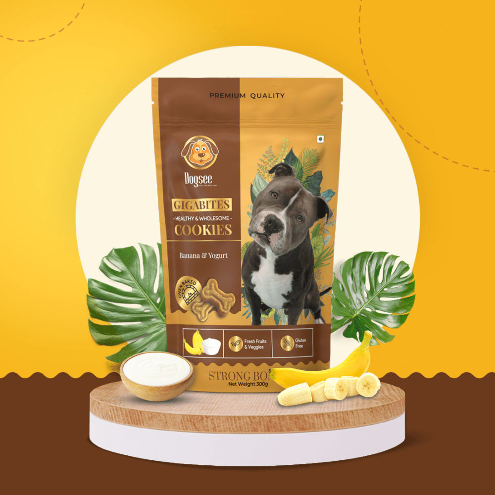 Dogsee Gigabites Banana Yogurt Dog Cookie Treats — back view