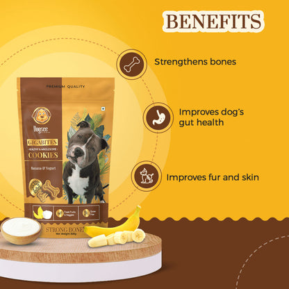 Dogsee Gigabites Banana Yogurt Dog Cookie Treats — detail shot