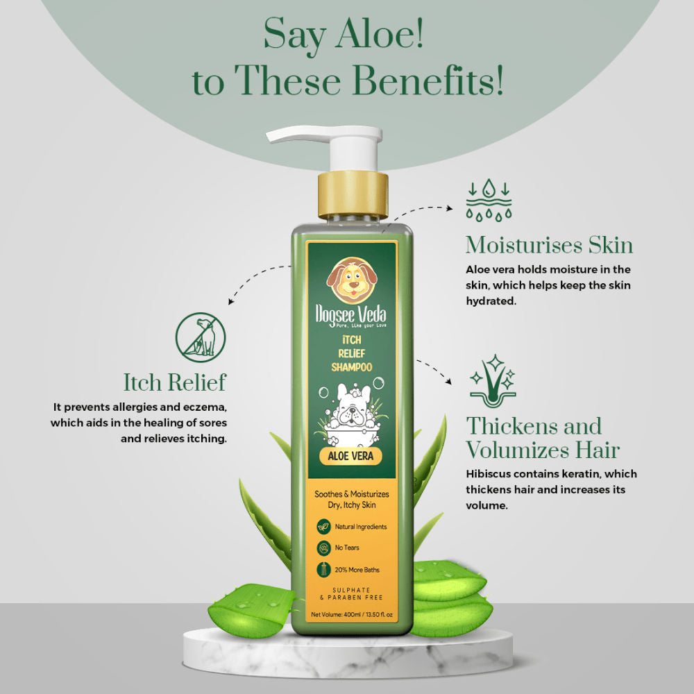 Dogsee Veda ITCH RELIEF Aloe Vera Shampoo for Dogs — in use
