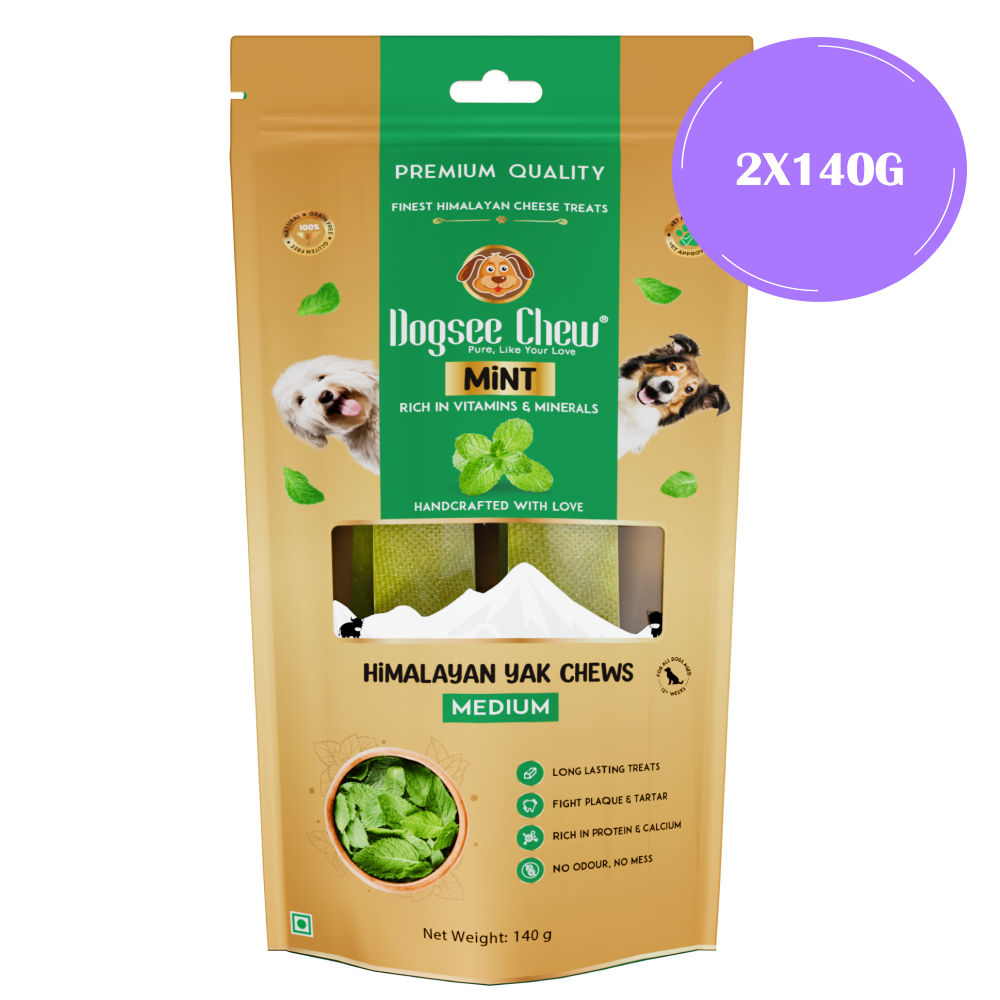 dogsee-chew-mint-flavour-medium-bars-dog-treats 2x140g