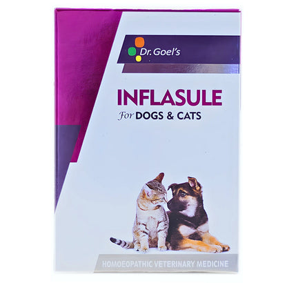 Dr Goel's Inflasule for Dogs and Cats — detail shot