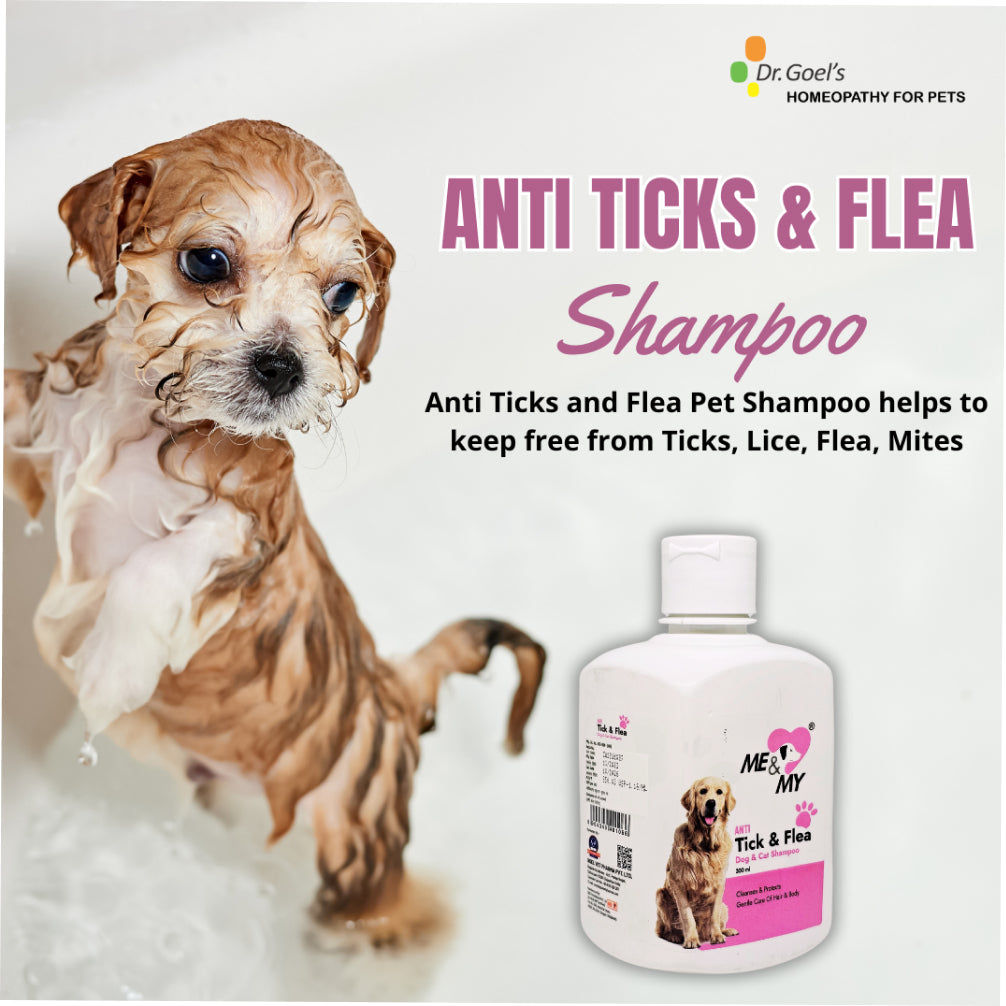 Dr Goel's Me & My Anti Ticks & Flea Shampoo for Dogs and Cats — in use