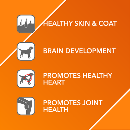 Drools Absolute Salmon Oil Syrup Supplement for Dogs — side view