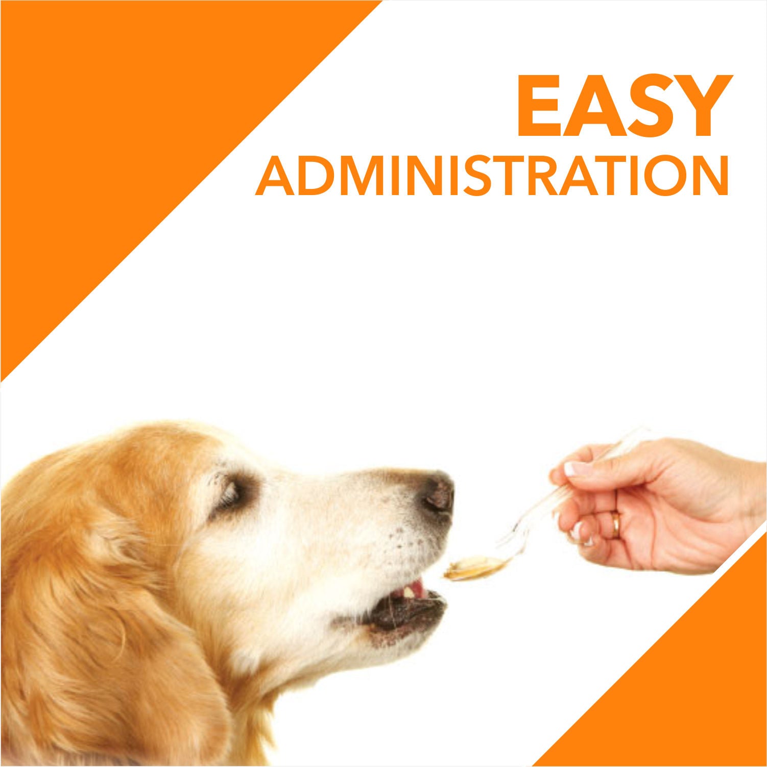 Drools Absolute Salmon Oil Syrup Supplement for Dogs — in use