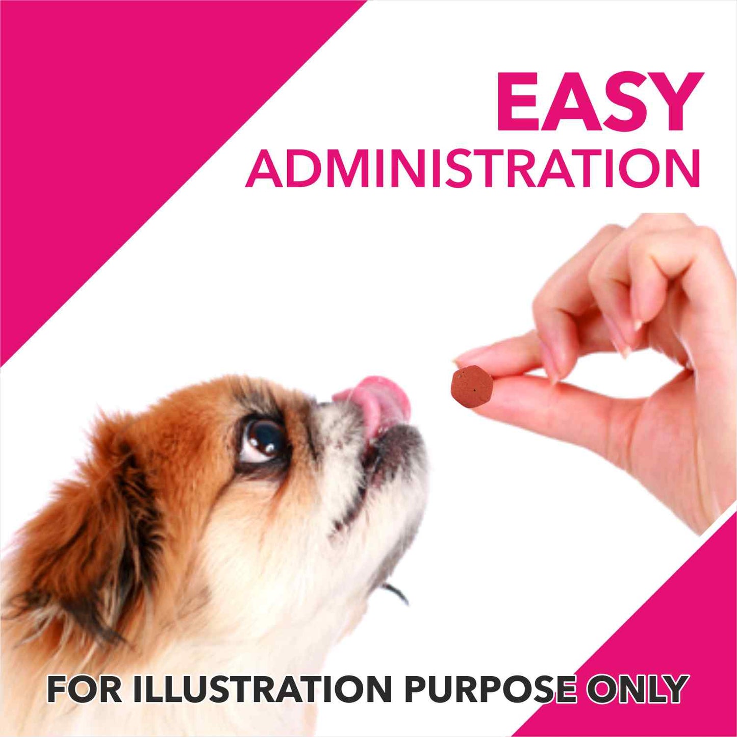 Drools Absolute Skin & Coat Supplement Tablets for Dogs — detail shot