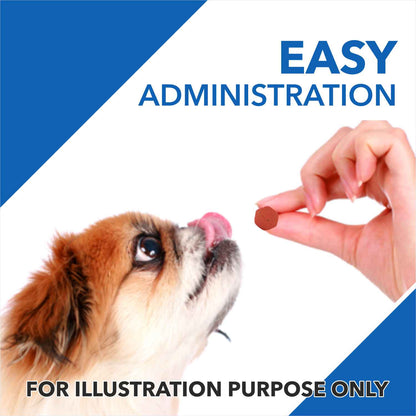 Drools Absolute Vitamin Supplement Tablets for Dogs — in use