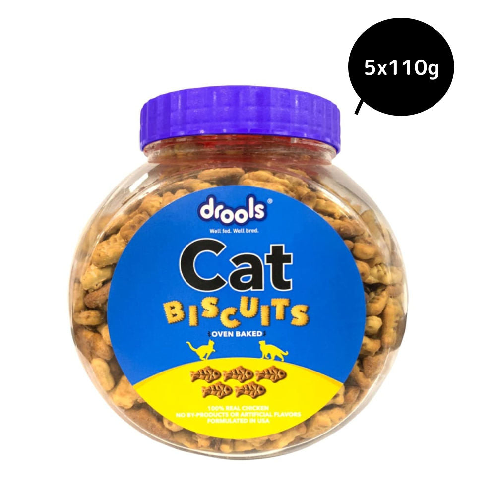 Drools Biscuit Cat Treat — detail shot