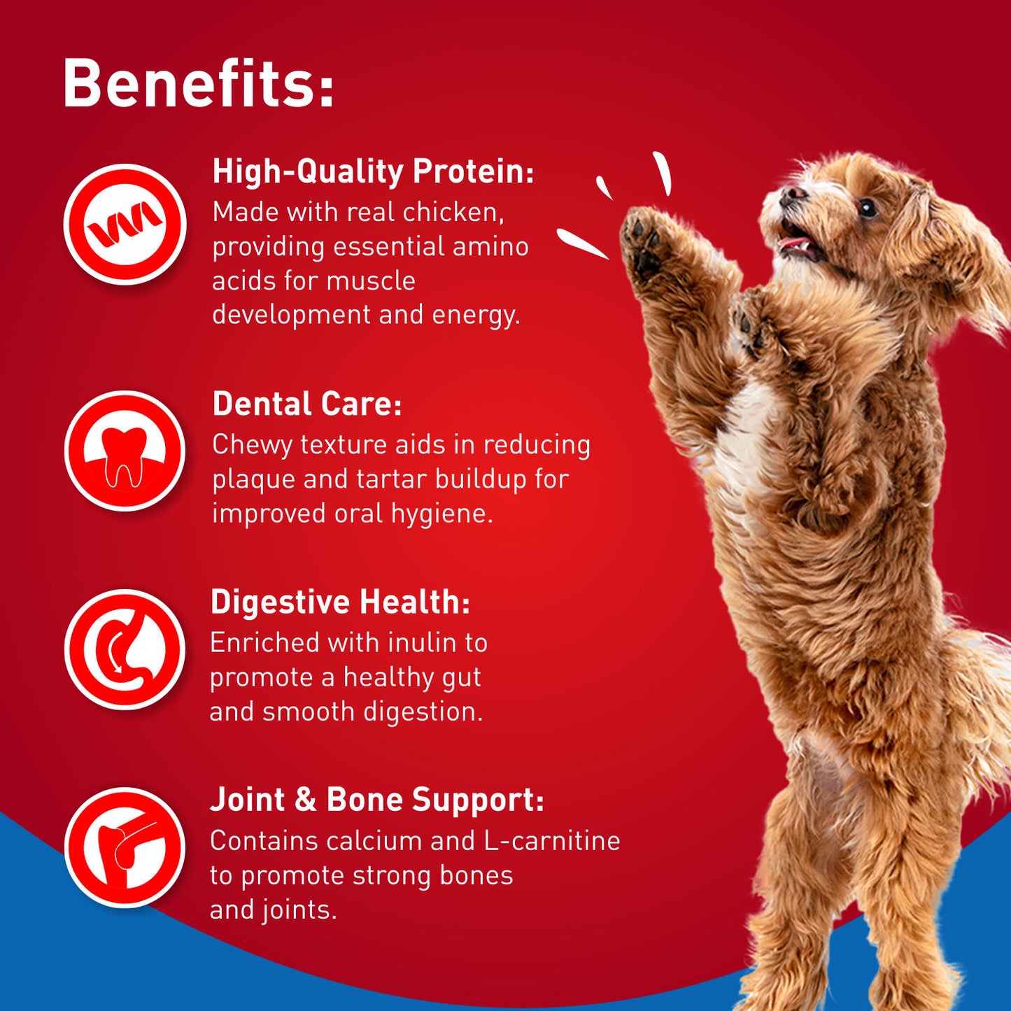 Drools Blueberry Flavour Chicken Sticks Treat for Dogs — detail shot