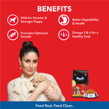 Drools Chicken And Egg Puppy Dog Food - Image 2