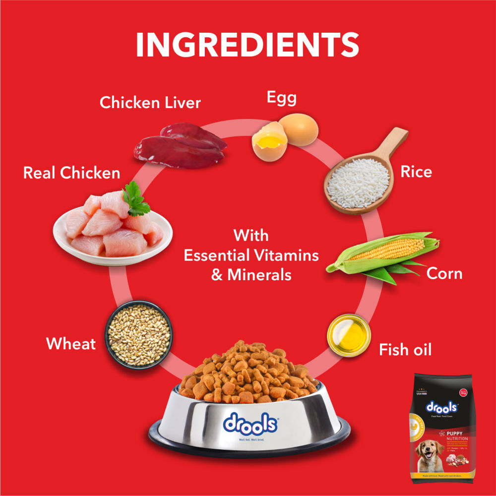 Drools Chicken and Egg Puppy Dog Dry Food — back view