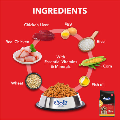 Drools Chicken and Egg Puppy Dog Dry Food — back view