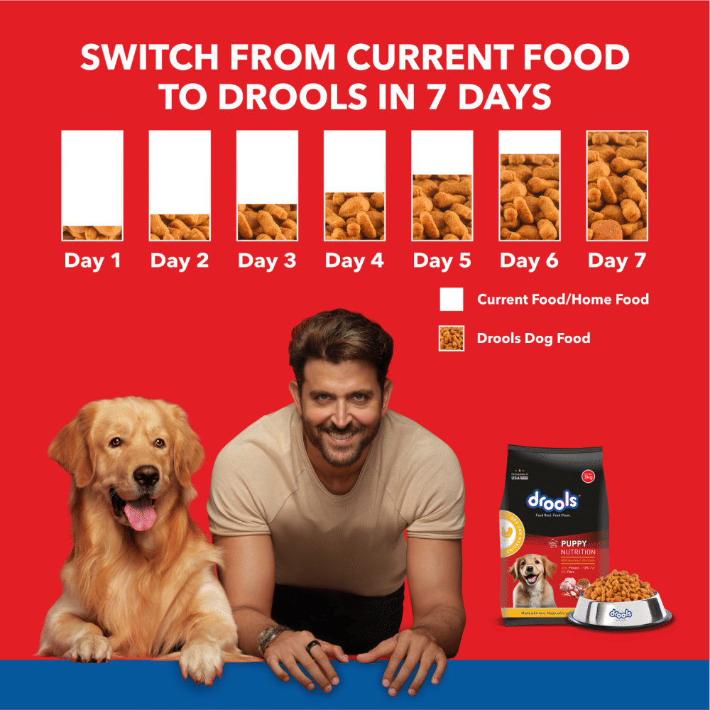 Drools Chicken and Egg Puppy Dog Dry Food — detail shot
