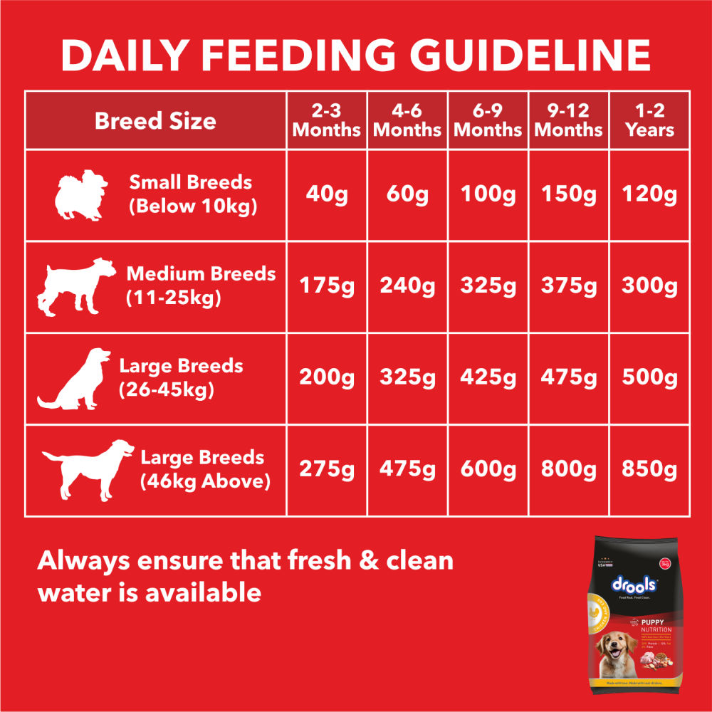 Drools Chicken and Egg Puppy Dog Dry Food — in use