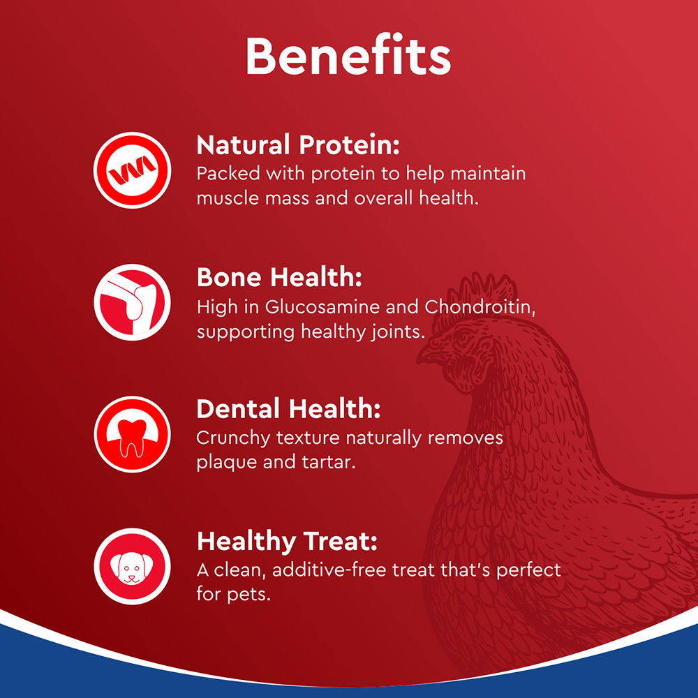 Drools Dehydrated Real Chicken Necks Chews Treat for Dogs — in use