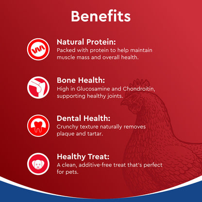 Drools Dehydrated Real Chicken Necks Chews Treat for Dogs — in use