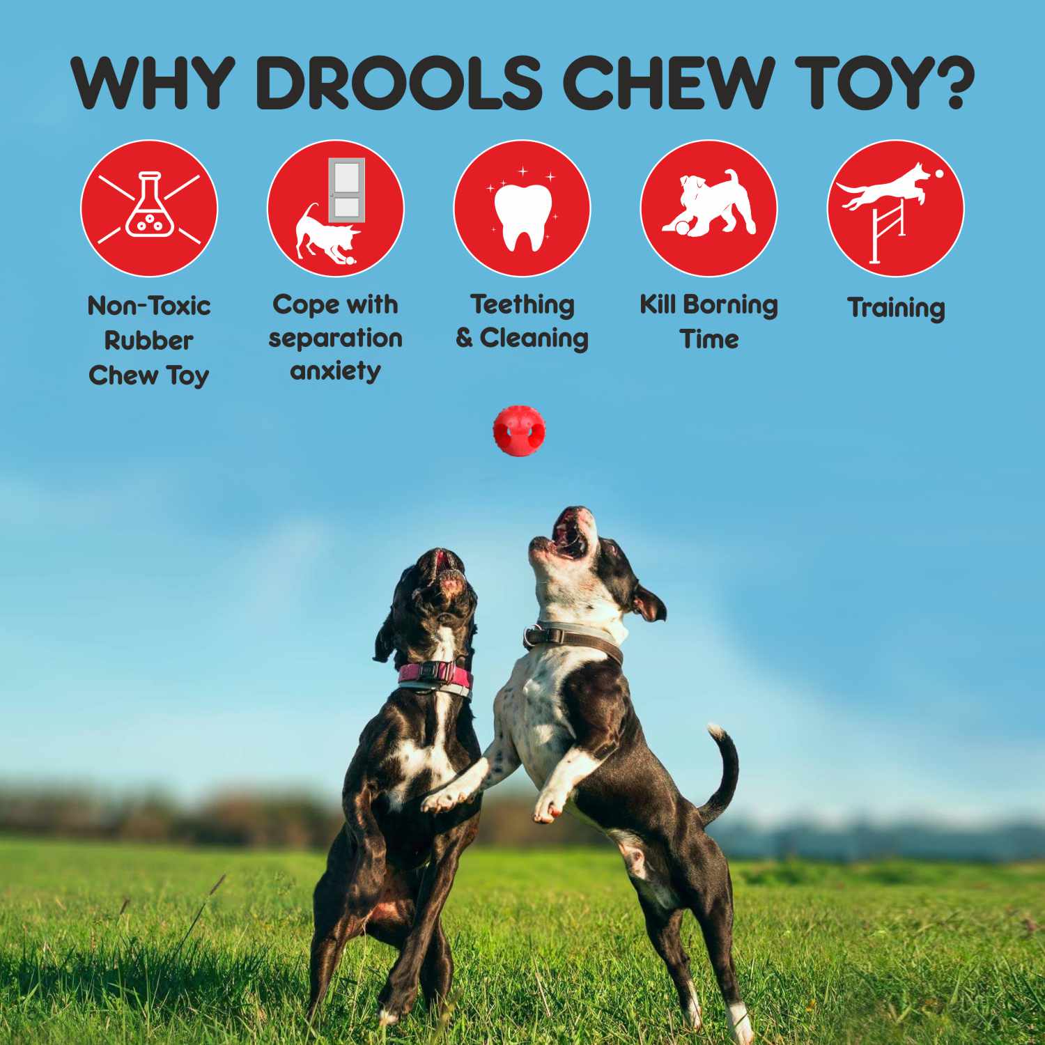 Drools Non Toxic Rubber Hole Ball Teething Toy for Puppies and Dogs | For Aggressive Chewers — detail shot