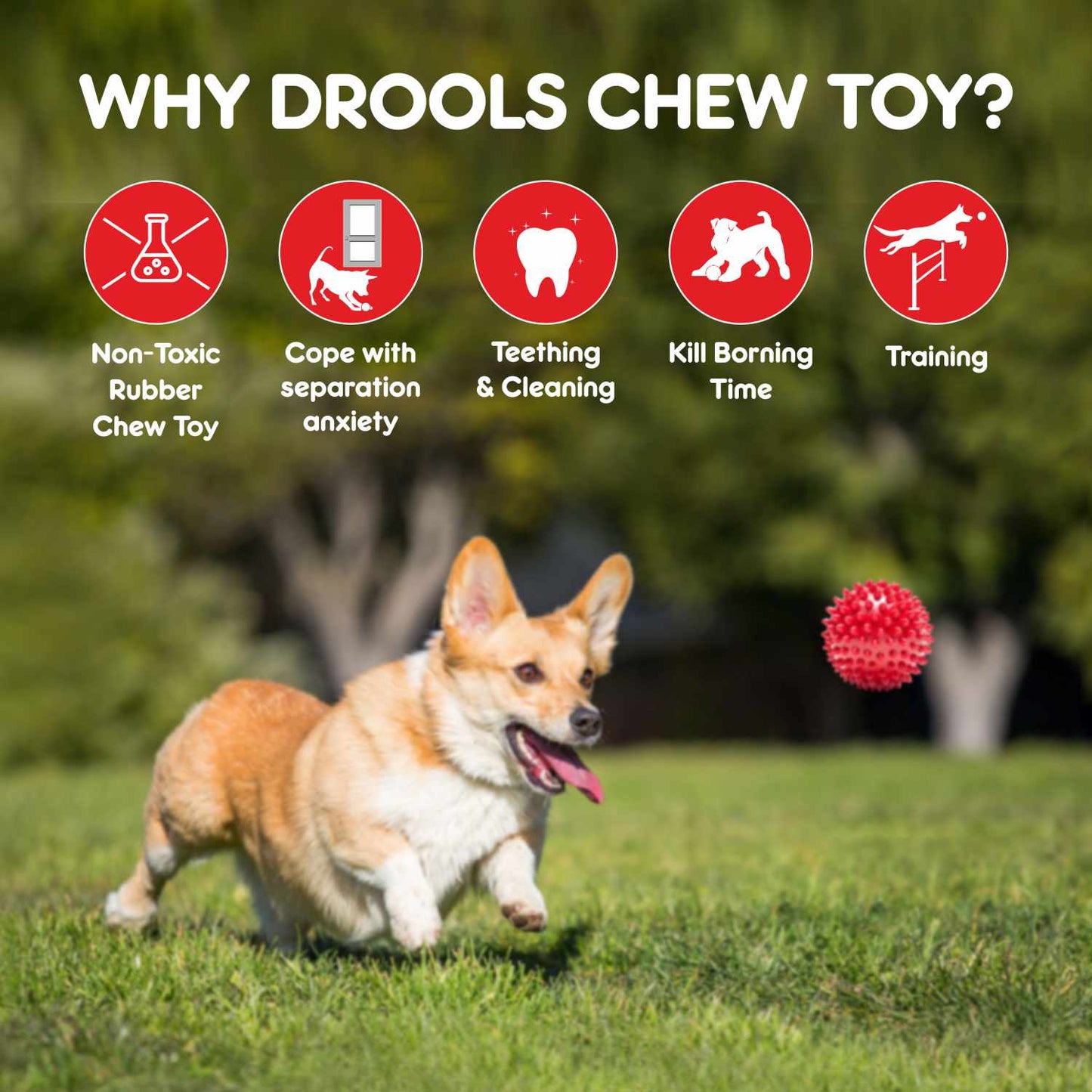 Drools Non Toxic Rubber Stud Spike Hard Ball Chew Teething Toy for Puppies and Dogs | For Aggressive Chewers — detail shot