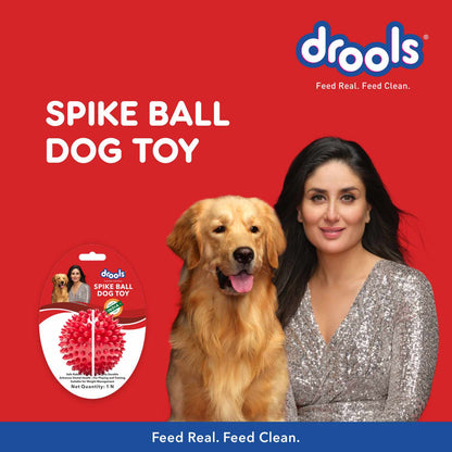 Drools Non Toxic Rubber Stud Spike Hard Ball Chew Teething Toy for Puppies and Dogs | For Aggressive Chewers — in use