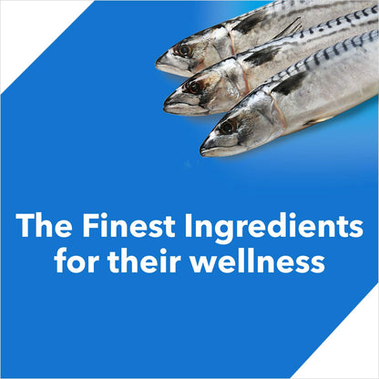 Drools Ocean Fish Adult Cat Dry Food — in use