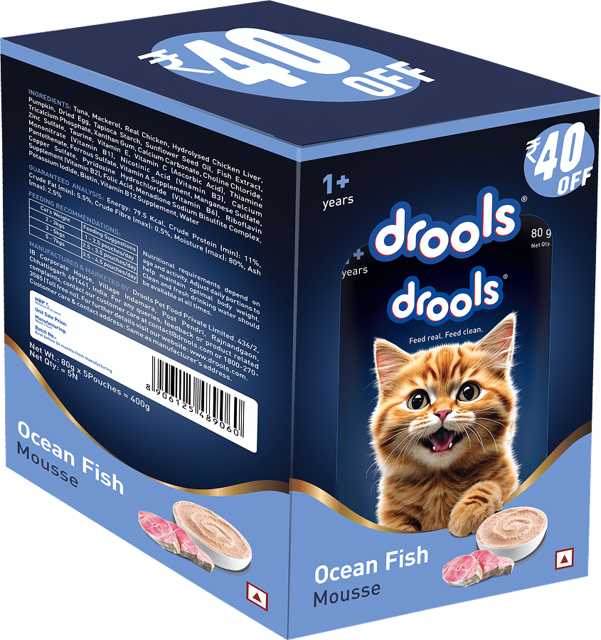 Drools Ocean Fish Mousse Adult Cat Wet Food — side view