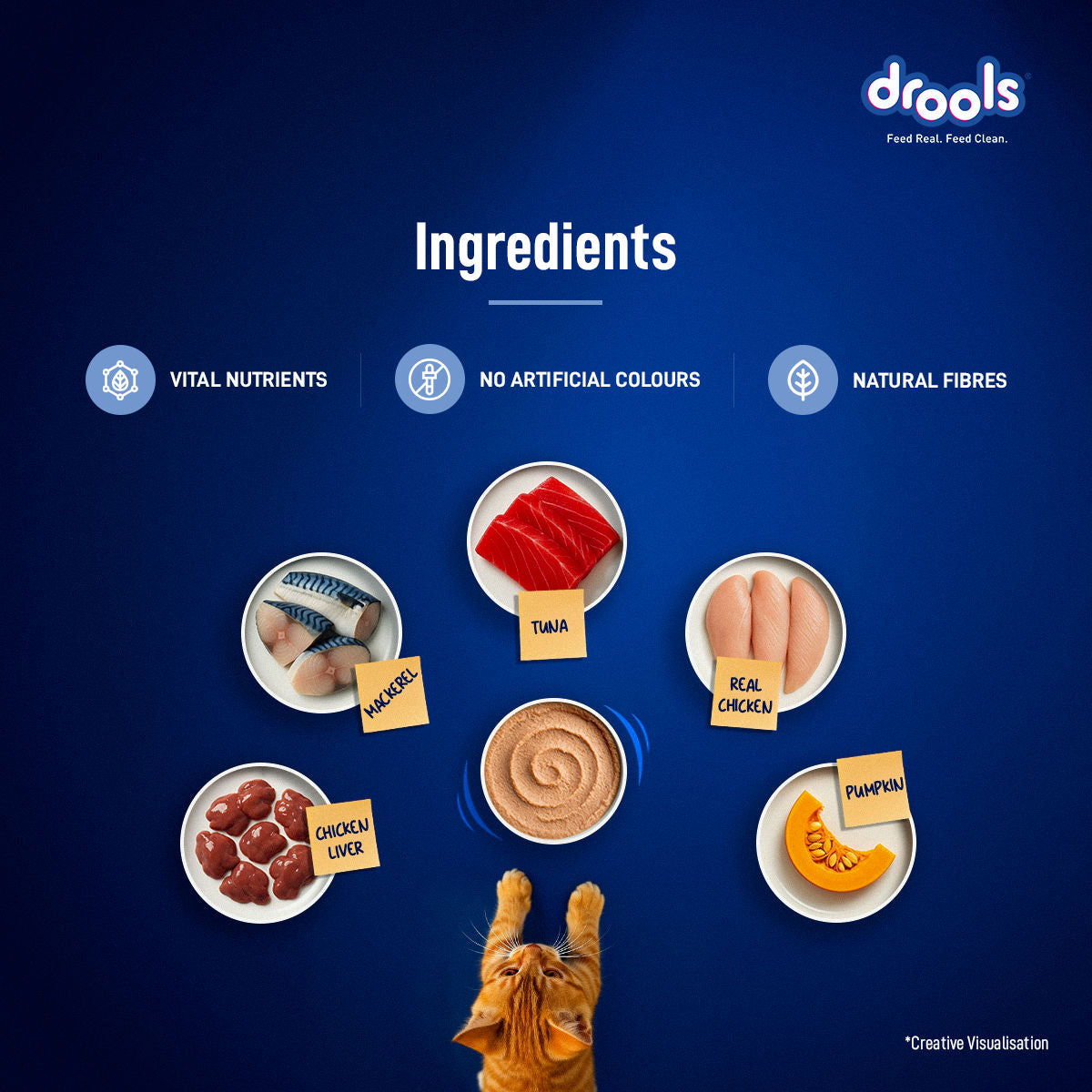 Drools Ocean Fish Mousse Kitten Cat Wet Food — detail shot