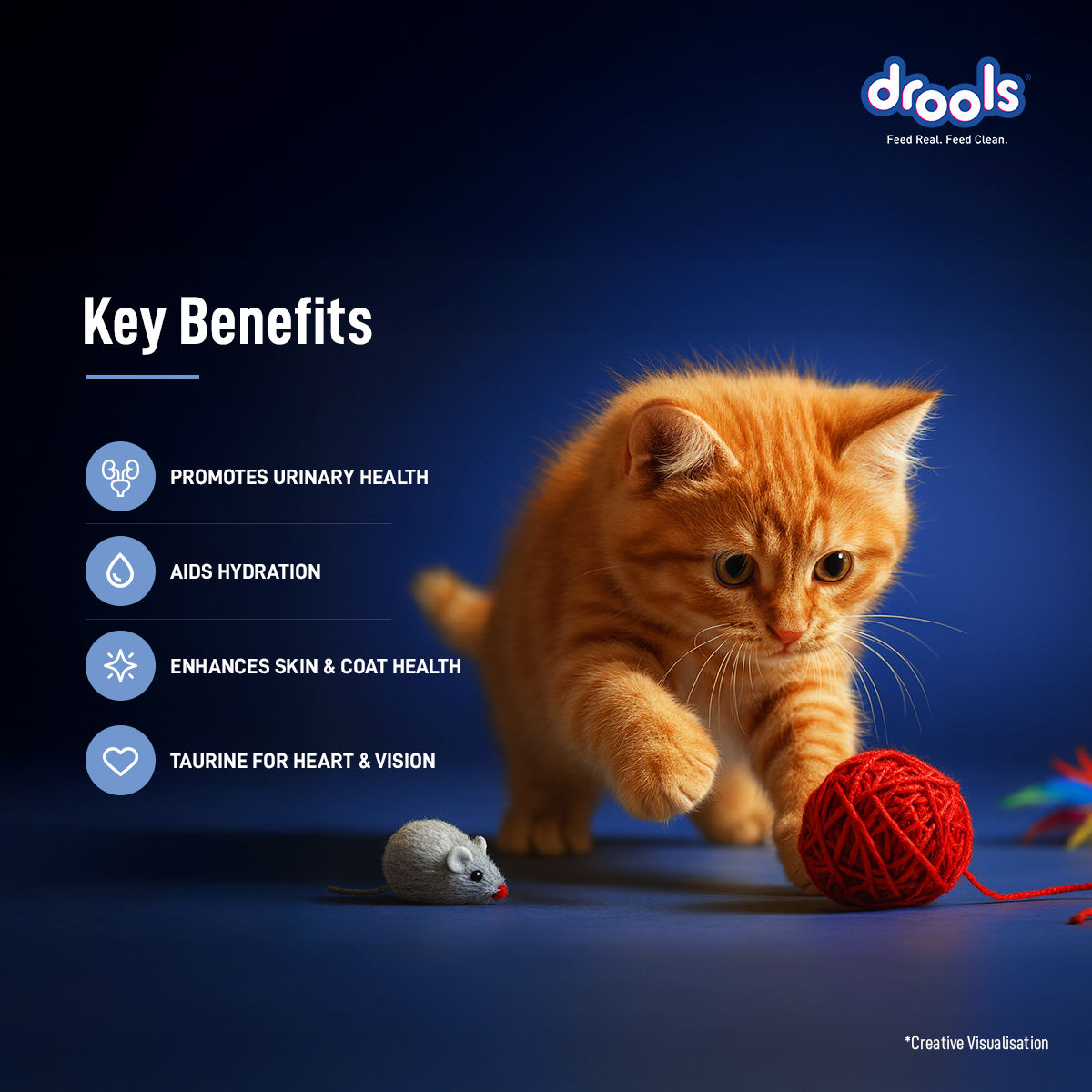 Drools Ocean Fish Mousse Kitten Cat Wet Food — in use