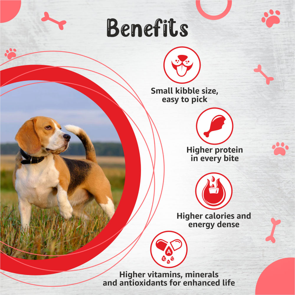Drools Premium Small Breed Adult Dog Dry Food — back view