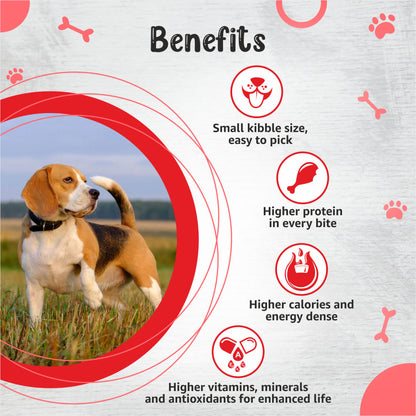 Drools Premium Small Breed Adult Dog Dry Food — back view