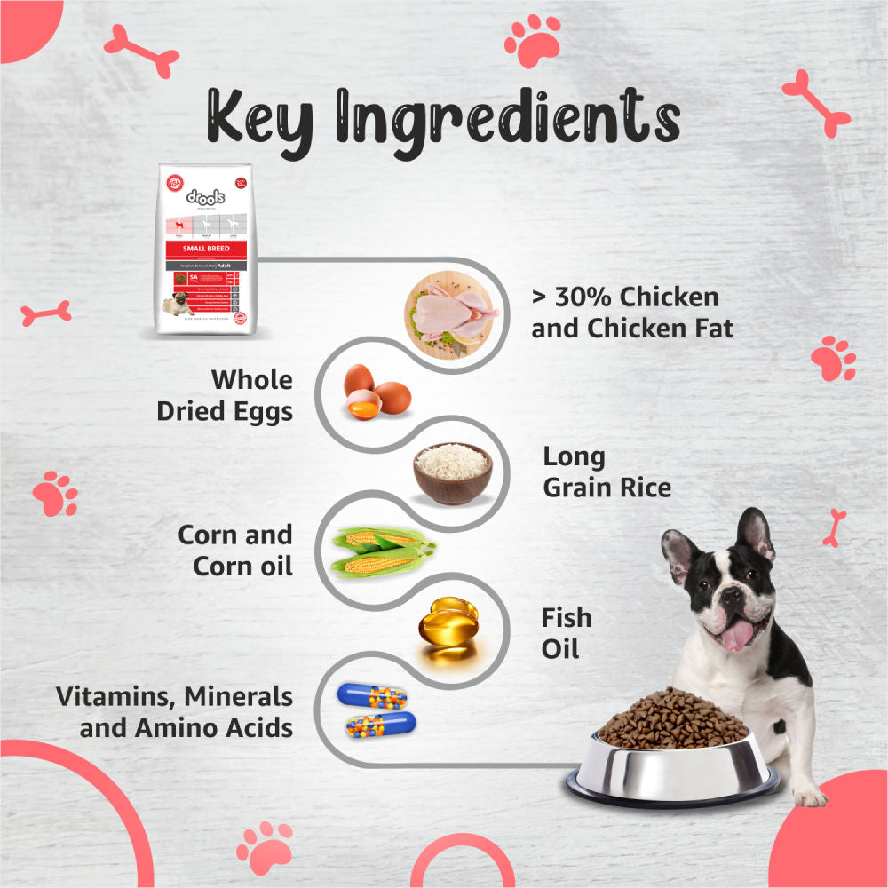 Drools Premium Small Breed Adult Dog Dry Food — detail shot