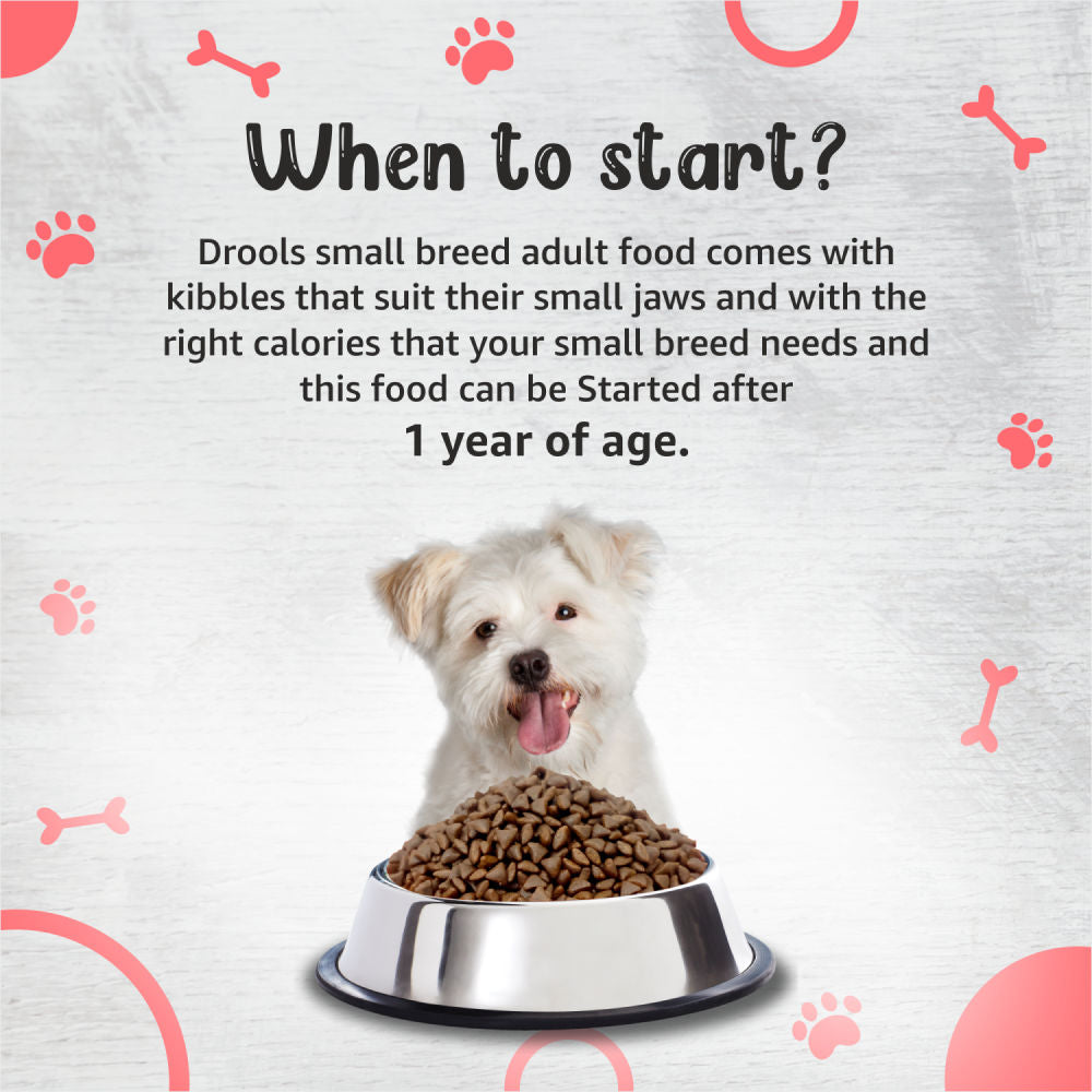 Drools Premium Small Breed Adult Dog Dry Food — in use