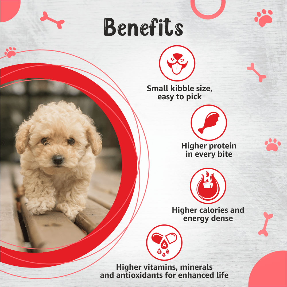 Drools Premium Small Breed Puppy Dog Dry Food — back view