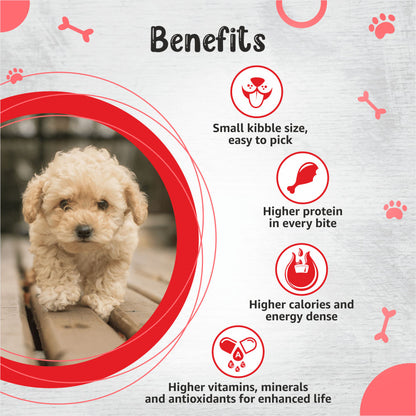 Drools Premium Small Breed Puppy Dog Dry Food — back view
