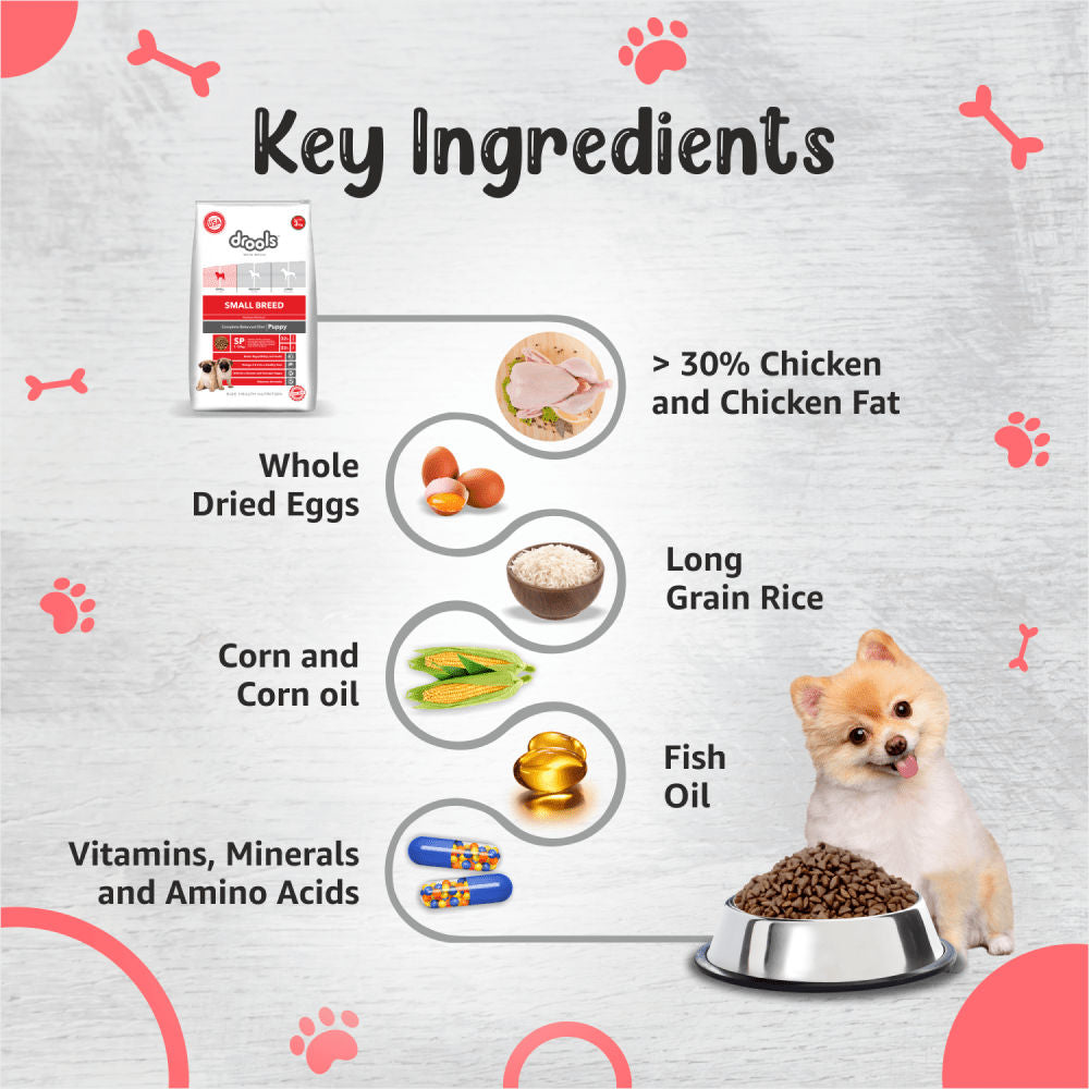 Drools Premium Small Breed Puppy Dog Dry Food — detail shot