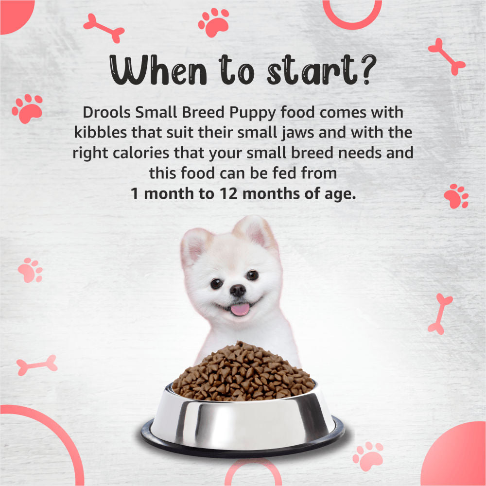 Drools Premium Small Breed Puppy Dog Dry Food — in use