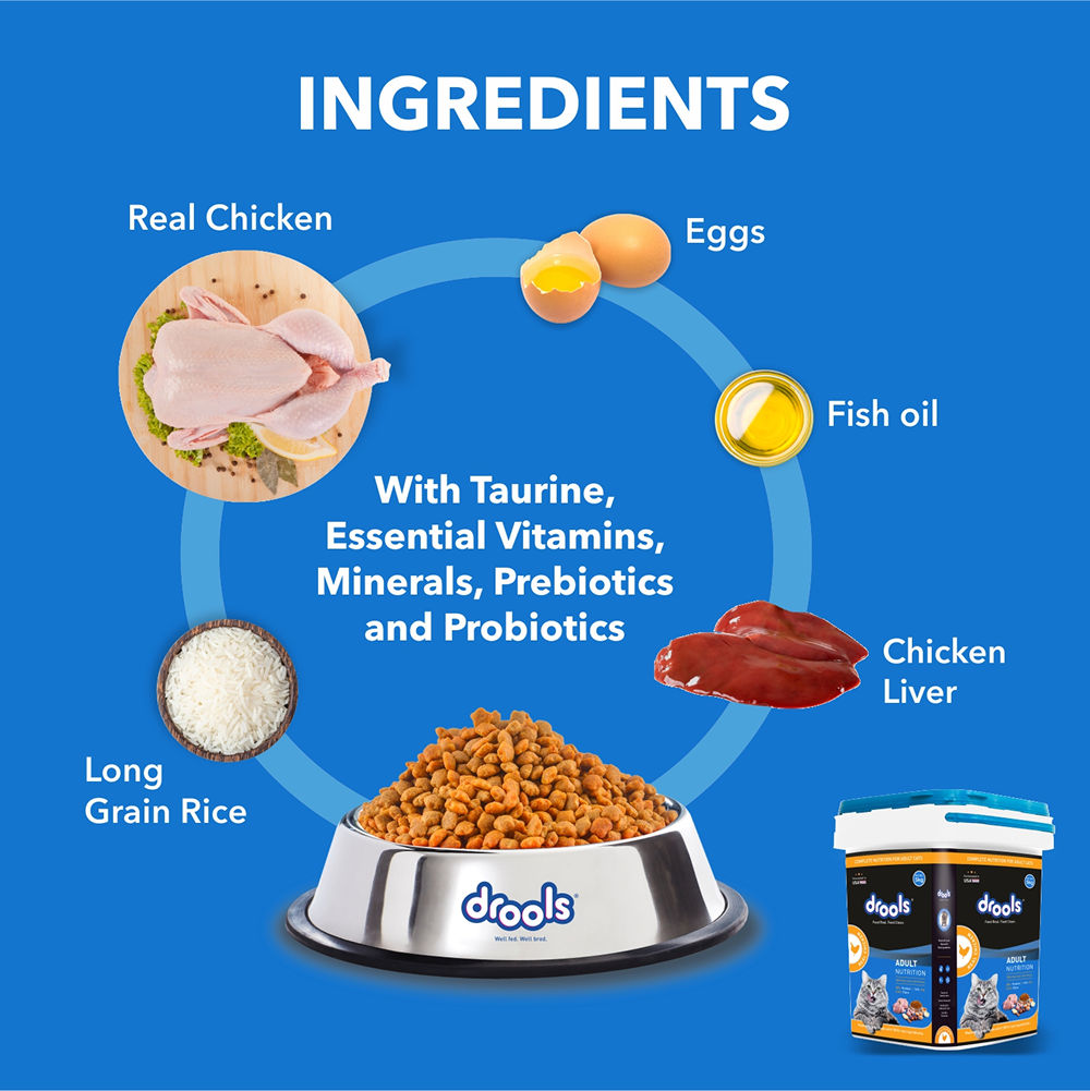 Drools Real Chicken Adult Cat Dry Food — back view