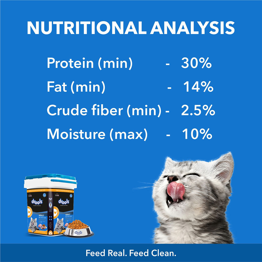 Drools Real Chicken Adult Cat Dry Food — detail shot
