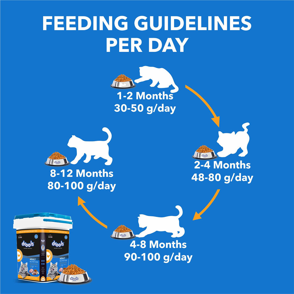 Drools Real Chicken Adult Cat Dry Food — in use